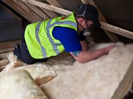 Best Insulation Removal  in USA